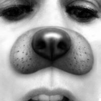 Melissa Hathaway Photo 24