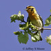 Jeff Franke Photo 19