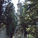 Juan Cortes Photo 23