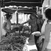 Vicki Sells Photo 4