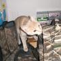 Brian Whitacre Photo 8