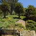 Helen Lathrop Photo 6