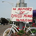 David Minor Photo 44