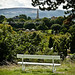 Kelly Spires Photo 20
