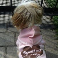 Brenda Neill Photo 12