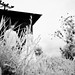 Richard Kaye Photo 49