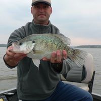 Mark Seay Photo 13