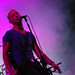 Alex Morrone Photo 11