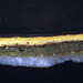 Charles Wyatt Photo 29