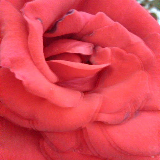 Lorraine Bell Photo 37