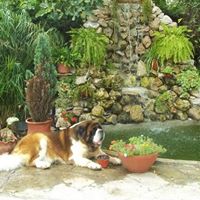Mabel Neira Photo 3