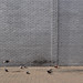 Mark Peckham Photo 19