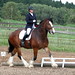 Susanne Becker Photo 5