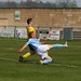 David Grass Photo 7