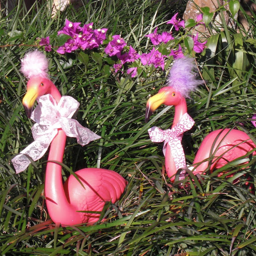 Cathy Edwards Photo 7