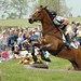 Tom Quigley Photo 24