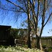 Geraldine Springs Photo 3