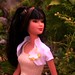 Ying Chai Photo 11