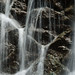 Paul Mcelligott Photo 14
