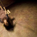 Maria Maffei Photo 11
