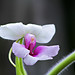 William Murray Photo 7