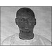 Yusuf Mohammed Photo 20