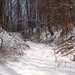 Jake Winter Photo 14