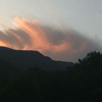 Michael Pruitt Photo 44