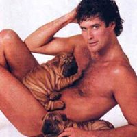 David Hoff Photo 31