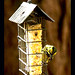 Jan Townsend Photo 23