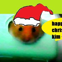 Kim Docherty Photo 2