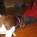 Leah Schwartz Photo 23