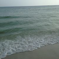 Sandy Mann Photo 24