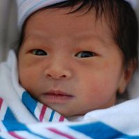 Alexander Yang Photo 22