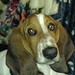 Whitney Kilgore Photo 5