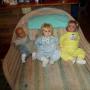 Joyce Steele Photo 23