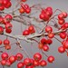 Laurie Berry Photo 19