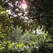 Philip Cook Photo 22