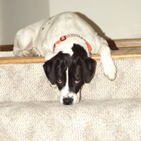 Ellen Fritz Photo 33