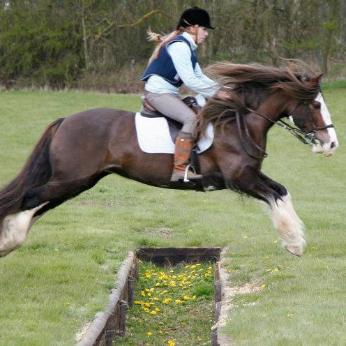 Anna Gillespie Photo 20