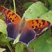 Mark Summers Photo 14