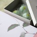 Summer Sweet Photo 21