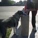 Lisa Bohn Photo 18