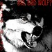 Jake Wolf Photo 17