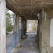 Jerry Stark Photo 25