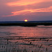 Steven Forsythe Photo 28