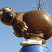 Paul Newell Photo 23