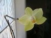 Gail Franks Photo 26