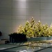 Ed Hopper Photo 31