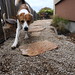 Sherman Stone Photo 3